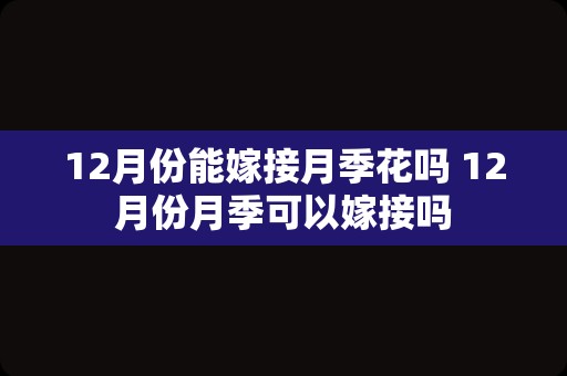 12月份能嫁接月季花吗 12月份月季可以嫁接吗