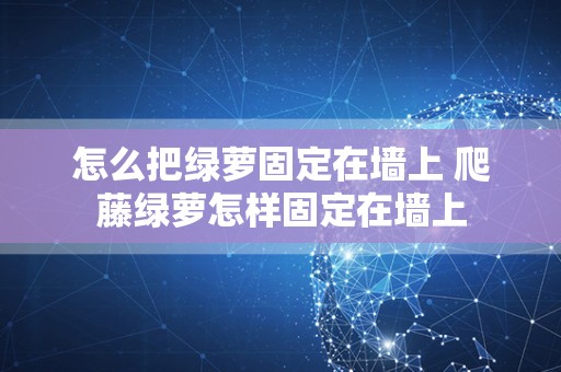 怎么把绿萝固定在墙上 爬藤绿萝怎样固定在墙上