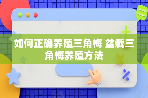 如何正确养殖三角梅 盆栽三角梅养殖方法