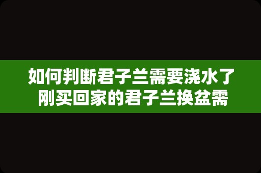 如何判断君子兰需要浇水了 刚买回家的君子兰换盆需要浇水吗