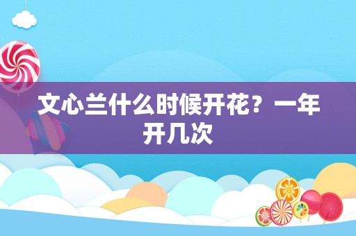 文心兰什么时候开花？一年开几次