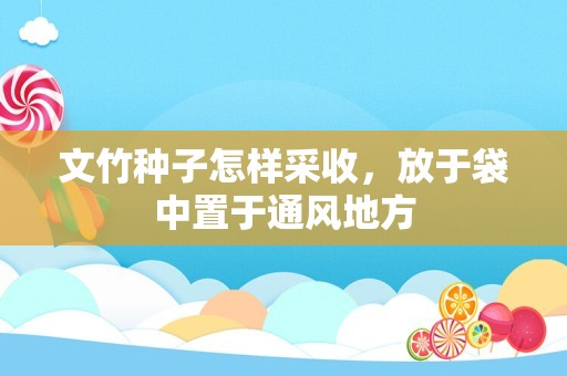 文竹种子怎样采收，放于袋中置于通风地方