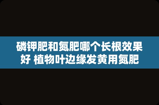 磷钾肥和氮肥哪个长根效果好 植物叶边缘发黄用氮肥还是钾肥