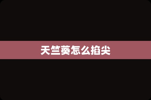 天竺葵怎么掐尖