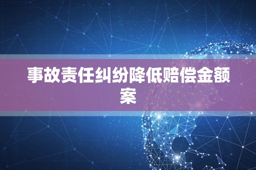 事故责任纠纷降低赔偿金额案