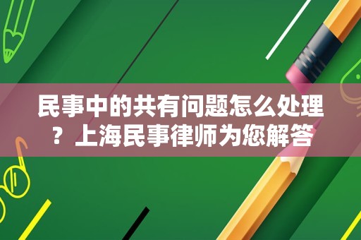 民事中的共有问题怎么处理？上海民事律师为您解答