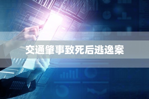 交通肇事致死后逃逸案