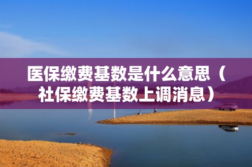 医保缴费基数是什么意思（社保缴费基数上调消息）
