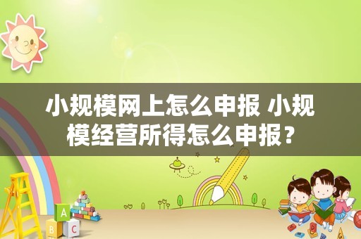 小规模网上怎么申报 小规模经营所得怎么申报？