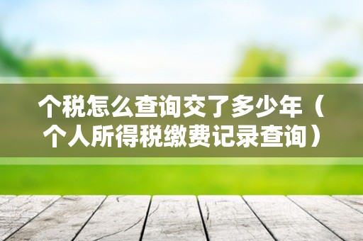 个税怎么查询交了多少年（个人所得税缴费记录查询）