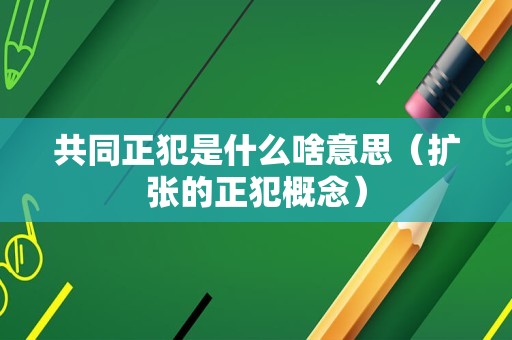 共同正犯是什么啥意思（扩张的正犯概念）