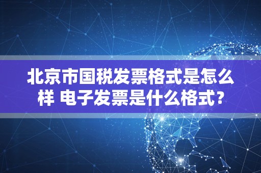 北京市国税发票格式是怎么样 电子发票是什么格式？