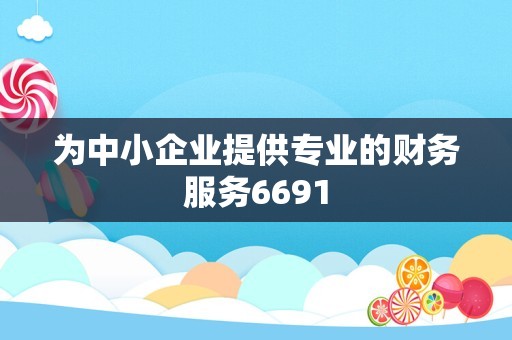 为中小企业提供专业的财务服务6691