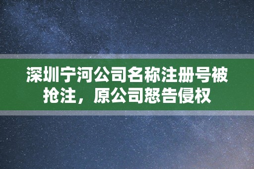 深圳宁河公司名称注册号被抢注，原公司怒告侵权