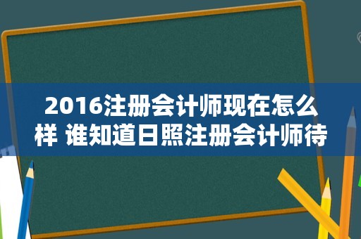 2016注册会计师现在怎么样 谁知道日照注册会计师待遇怎么样？