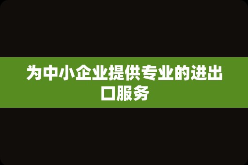 为中小企业提供专业的进出口服务