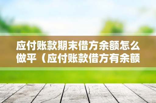 应付账款期末借方余额怎么做平（应付账款借方有余额，账务上该怎样处理？）