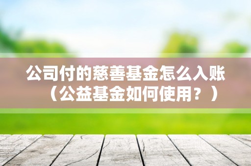 公司付的慈善基金怎么入账（公益基金如何使用？）