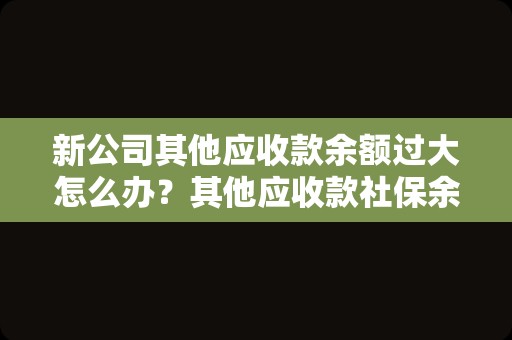 新公司其他应收款余额过大怎么办？其他应收款社保余额怎么处理？