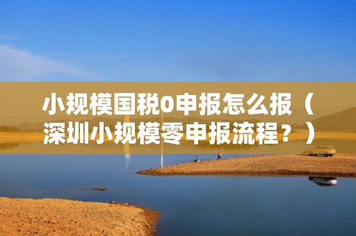 小规模国税0申报怎么报（深圳小规模零申报流程？）
