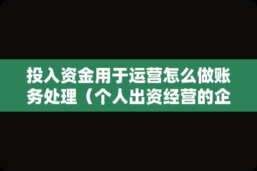 投入资金用于运营怎么做账务处理（个人出资经营的企业财务会计处理？）
