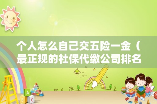 个人怎么自己交五险一金（最正规的社保代缴公司排名）
