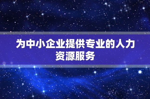 为中小企业提供专业的人力资源服务