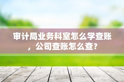 审计局业务科室怎么学查账，公司查账怎么查？