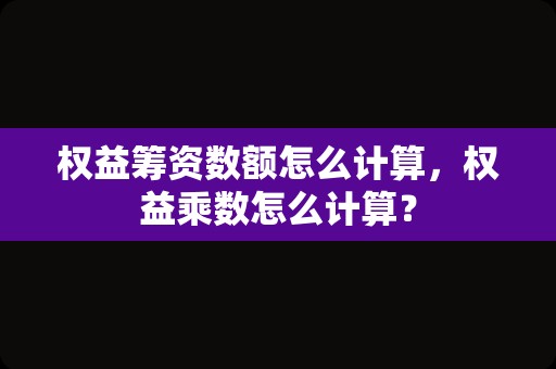 权益筹资数额怎么计算，权益乘数怎么计算？