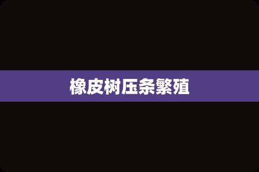 橡皮树压条繁殖